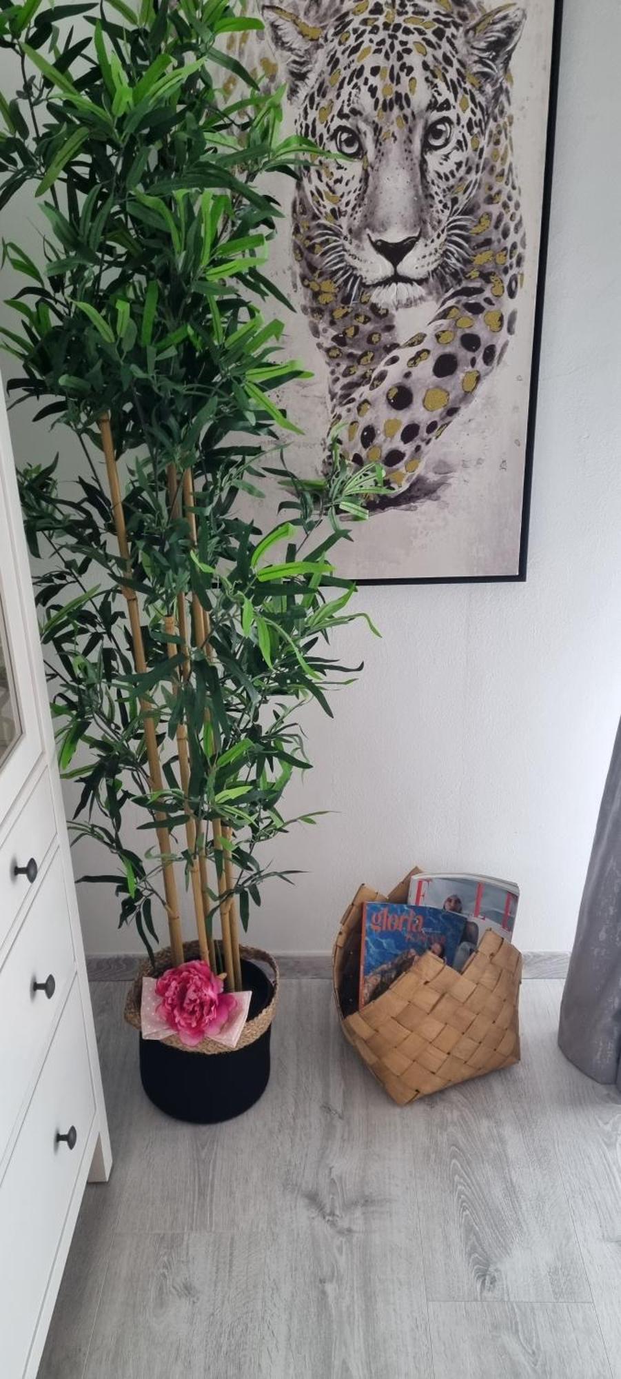 Babylu Apartman Zara Esterno foto